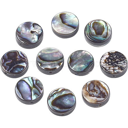 BENECREAT Natural Abalone Shell/Paua Shell Beads Strands SSHEL-BC0001-11-1