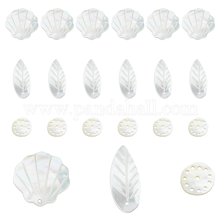 Dicosmetic 18 pz 3 stili pendenti di conchiglie di mare naturali FIND-DC0003-75-1