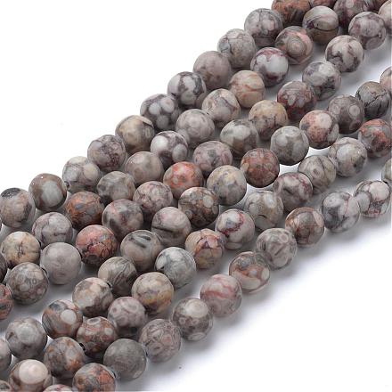 Chapelets de perles maifanite/maifan naturel pierre  G-T055-12mm-01-1