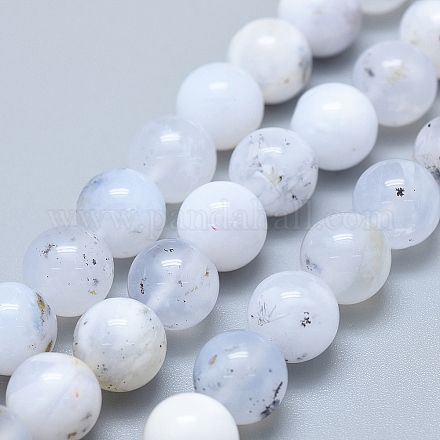 Brins de perles de calcédoine marine d'australie naturelle G-D0010-03A-10mm-1