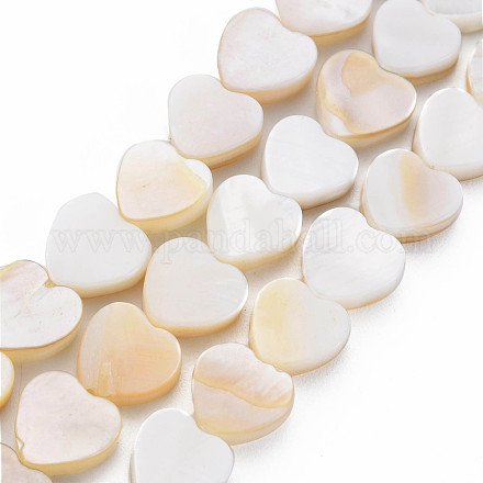 Eau douce naturelle de coquillage perles brins SHEL-S276-70-1