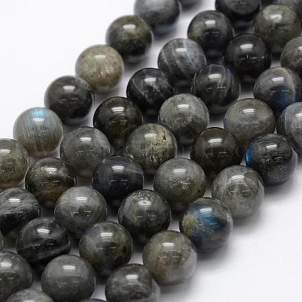 Chapelets de perles en labradorite naturelle  G-P322-31-12mm-1