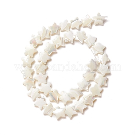 Perle trochid naturali / conchiglie trochus SSHEL-O001-25D-01-1