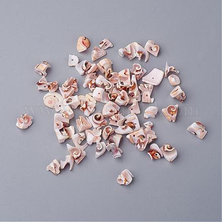 Perles de coquillage en spirale naturelle BSHE-S080-1