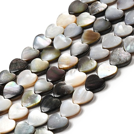 Naturel noir à lèvres shell perles brins SHEL-K006-17-1