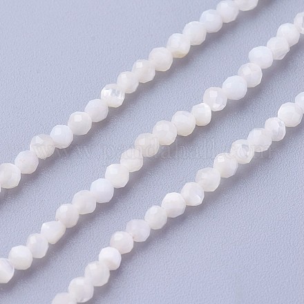 Chapelets de perles de coquillage G-F619-27-2mm-1