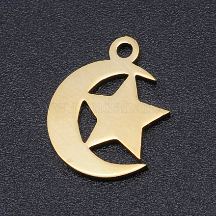 201 Stainless Steel Laser Cut Charms STAS-S105-T913-2-1