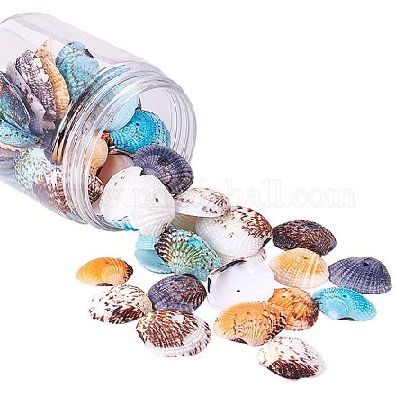 PandaHall Elite about 50~56 pcs Dyed Natural Conch Shell Beads Drilled Tiny Scallop Sea Shells Ocean Beach Seashells Craft Charms for Candle Making Home Decoration Party Wedding Decor BSHE-PH0003-16-1