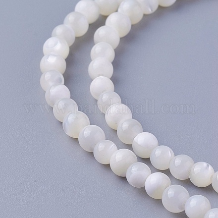 Chapelets de perles de coquillage SSHEL-E571-39-4mm-1