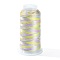 Segment Dyed Polyester Round Thread, for Craft Tassel Making, Colorful, 0.2mm, about 656.17 Yards(600m)/Roll