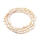 Electroplate Opaque Solid Color Glass Beads Strands EGLA-G036-B-FR03-2