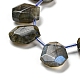 Natural Labradorite Beads Strands G-Z040-A03-01-4