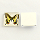 Cabochon quadrati con retro piatto in vetro con tema biologico naturale e vivace motivo a farfalla GGLA-S022-10mm-30D-1