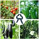 Пластиковые садовые растения и зажимы для петель TOOL-GA0001-01-7