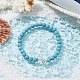2Pcs 2 Color Tibetan Style Alloy Dolphin & Synthetic Turquoise Round Beaded Stretch Bracelets Set BJEW-JB09895-5