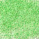6/0 Transparent Glass Seed Beads SEED-F003-03A-13-3