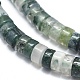 Natural Moss Agate Beads Strand G-A177-01L-01-3