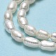 Natural Cultured Freshwater Pearl Beads Strands PEAR-J006-03E-4