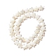 Perle trochid naturali / conchiglie trochus SSHEL-O001-25D-01-1
