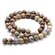 Natural Fossil Coral Beads Strands G-G763-12-8mm-2