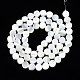 Fili di perle di conchiglia trochid naturale / trochus SSHEL-S266-002-2