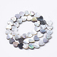 Natural Black Lip Shell Beads Strands SSHEL-Q298-11-2