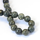 Natural Serpentine/Green Lace Stone Round Bead Strands G-E334-10mm-14-3