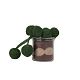 Kit de fieltro de aguja para decoración de exhibición de plantas suculentas DIY-D064-02P-1