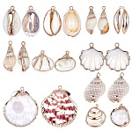 SUNNYCLUE Electroplate 
Natural Shell Pendants, with Golden Plated Iron Findings, Mixed Shapes, Seashell Color, 20pcs/box