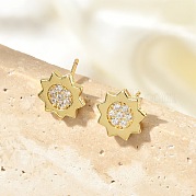 Серьги-гвоздики из циркония EJEW-R016-26G-09
