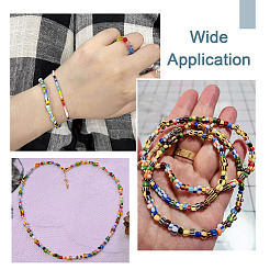 10 Strang 10 Stil handgefertigte Bunte Malerei-Perlenstränge&nbsp;BLOW-KS0001-01