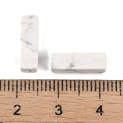 Perle di Howlite naturale&nbsp;G-G137-01H