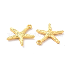 Crémaillère pendentifs en alliage placage&nbsp;FIND-I036-45MG