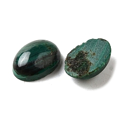 Natur Malachit Cabochons&nbsp;G-E557-03O