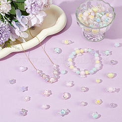 200 pièce de perles acryliques de 25 styles mixtes&nbsp;TACR-ME0001-10