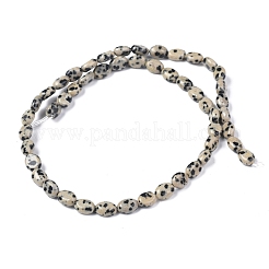 Natur Dalmatiner Jaspis Perlen Stränge&nbsp;G-Z006-A31