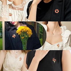 5 Stück 5 Stile Legierung Strass Brosche&nbsp;JEWB-CJ0001-09