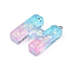 Colgantes de resina epoxi transparente&nbsp;LS-CRES-S364-002H