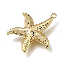 Pendentifs en laiton&nbsp;KK-E802-08G
