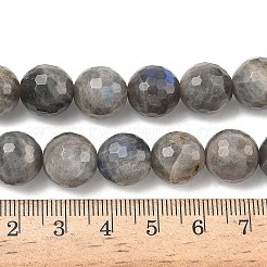 Perline labradorite naturale fili&nbsp;G-L642-F07-12mm