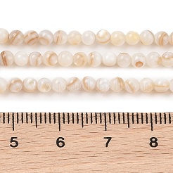 Hebras naturales de cuentas de concha de agua dulce&nbsp;X-SHEL-T011-02-3mm