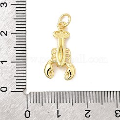 Pendentifs en laiton&nbsp;KK-I364-06G-04