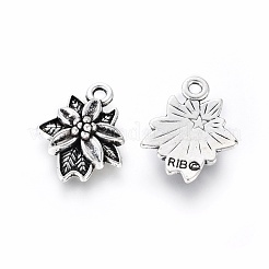Pendente in lega stile tibetano&nbsp;TIBEP-GC103-AS-NR