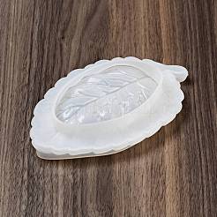 Silikonformen für blattschalen&nbsp;DIY-P070-G01