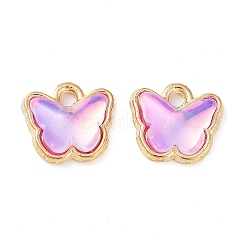 Rack-Plating-Legierungsglas-Charms&nbsp;FIND-Q099-07G