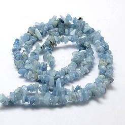 Natürliche Aquamarin Perlen Stränge&nbsp;X-G-F328-32