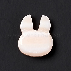 Perle di guscio rosa naturale&nbsp;BSHE-C003-02B