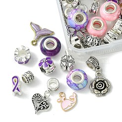 DIY europäisches Charm-Armband-Schmuckset&nbsp;DIY-FS0005-64