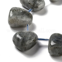Natur Labradorit Perlen Stränge&nbsp;G-P528-E10-01