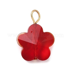 Pendentifs en verre transparent&nbsp;PALLOY-JF04099-02